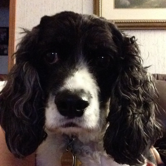 Profile Picture of Amy Gurtner (@agurtner) on Poshmark