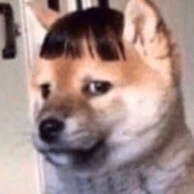 Profile Picture of Nicholas Seabold (@sivlezzub) on Twitter
