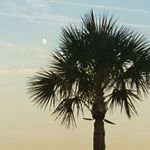 Profile Picture of Allan Watts (@watts.allan) on Instagram