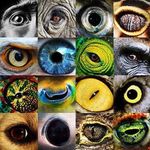 Profile Picture of Craig Moffat (@moffasaurus) on Instagram