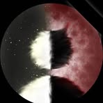 Profile Picture of Erick Avendaño (@Erick-Avendaño) on Facebook