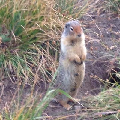 Profile Picture of John Hintermister (@hintermister) on Twitter