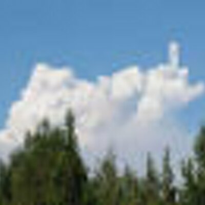 Profile Picture of Chris Savastano (@hardonharry) on Twitter