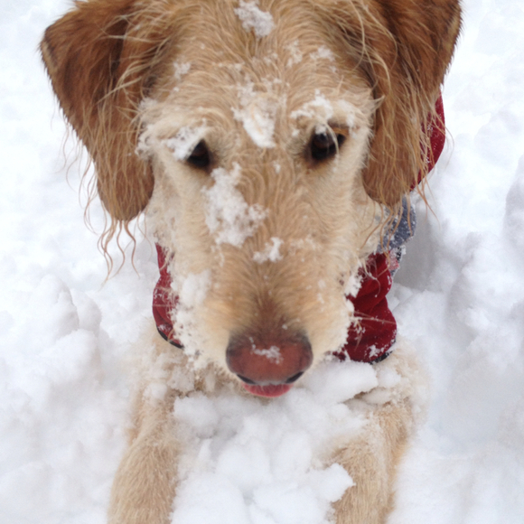 Profile Picture of Heidi Frigano (@hfrigano) on Poshmark