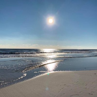 Profile Picture of Terrell Malone (@AlBlack62040983) on Twitter