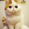 Profile Picture of Benjamin Keeling (@benjamink2578) on Pinterest