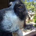 Profile Picture of Chase Black (@chevey_chase36) on Instagram