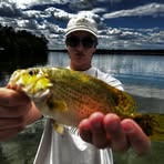 Profile Picture of Joseph Pecoraro (@Joseph-Pecoraro) on Facebook