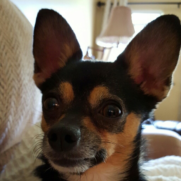 Profile Picture of Lavonne Philips (@lavonne122) on Poshmark