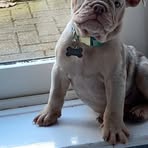 Profile Picture of Jon Blamire (@Jon-Blamire) on Facebook