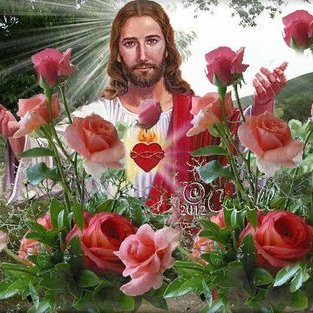 Profile Picture of Rosaura Gonzales (@rosauracarbone1) on Twitter