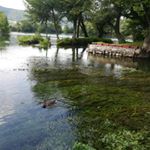 Amir Dedić - Instagram Profile Picture of Amir Dedić (@amir.dedic.52) on Instagram