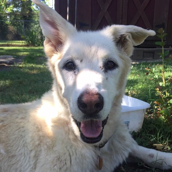 Profile Picture of Morgan Wiley (@mwiley3) on Poshmark