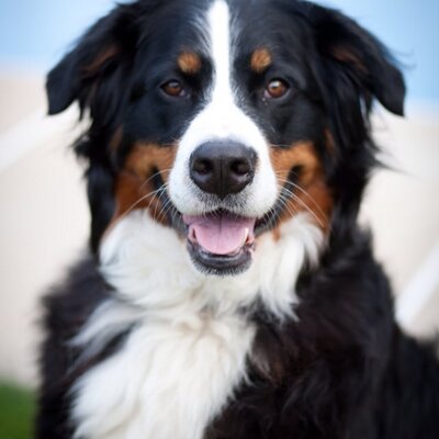 Profile Picture of Katelyn Mathers (@MathersKatelyn) on Twitter