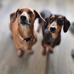 Profile Picture of Patricia Moloney (@patricia.riggs.moloney) on Instagram
