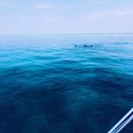 Profile Picture of CrystalMcCann | Travel&Garden (@crystallmccann_) on Instagram