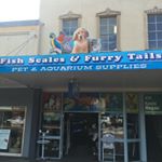 Profile Picture of Pat Keener (@fishscalespetshop2460) on Instagram