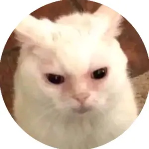 Profile Picture of Han (@courpes_husband) on Tiktok