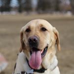 Profile Picture of Chad Fetterly (@chadfetterly) on Instagram