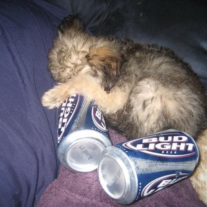 Profile Picture of Hannah Hovick (@randomnanna) on Myspace