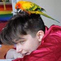Profile Picture of Aiden Kim Feltkamp (@aiden-kim-feltkamp) on Quora