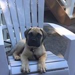 Profile Picture of Matthew Hintze (@matthewhintze) on Instagram