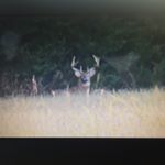 Profile Picture of Randy Bunch (@731bunch) on Instagram