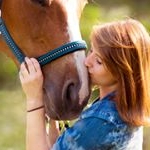 Profile Picture of Horsehut (@horse_hut) on Instagram