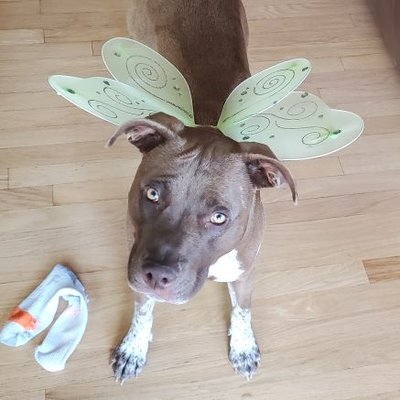 Profile Picture of Kim Struck (@kim_struck) on Twitter