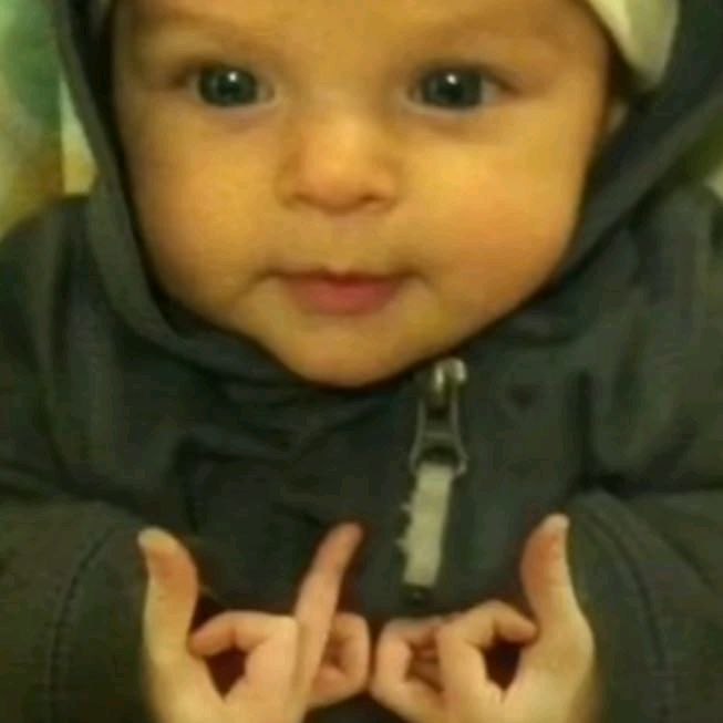 Matthew - Tiktok Profile Picture of Matthew (@matthewedk) on Tiktok