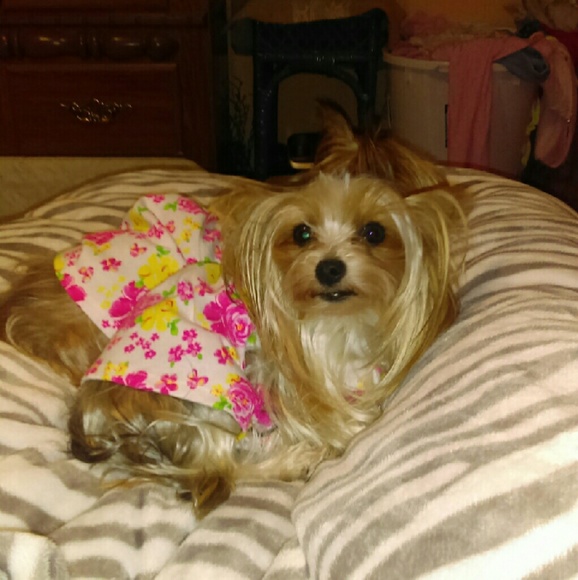 Profile Picture of Charlotte Sanders (@charkandu) on Poshmark