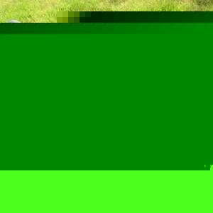 Profile Picture of Nathanael Martin (@naturebynat) on Myspace