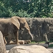 Profile Picture of David Bloch (@dbloch818) on Youtube