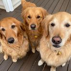 Profile Picture of Meredith McNulty (@meredith.mccaskey.9) on Facebook