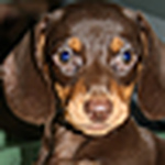 Profile Picture of Paulo Gouveia (@paulogouveia31) on Flickr