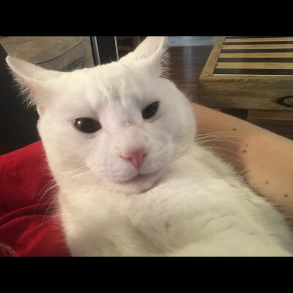 Profile Picture of Jay Foxx (@jay_foxx) on Poshmark