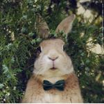 Profile Picture of I-hsu Liao (@i_hsu.liao) on Instagram