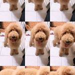 Profile Picture of 簡球球😋 (@hsu0421) on Instagram