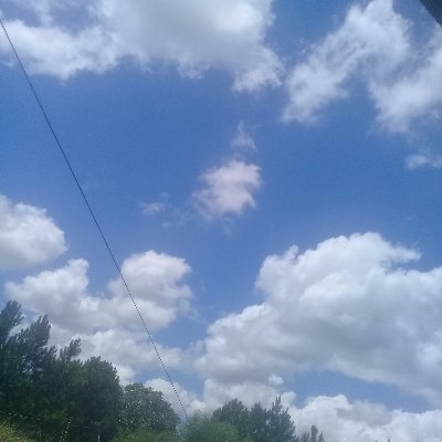 Profile Picture of Kevin Bai (@kevinbai13) on Twitter