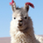 Profile Picture of Mehdi Labidi (@mehdi labidi) on Flickr
