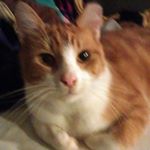 Profile Picture of Joe Barrington (@joe.barrington) on Instagram