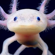 Profile Picture of JC Charles (@jccharles6759) on Youtube