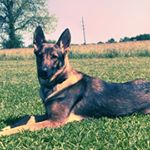 Profile Picture of Travis Whitney (@t_whitney94) on Instagram