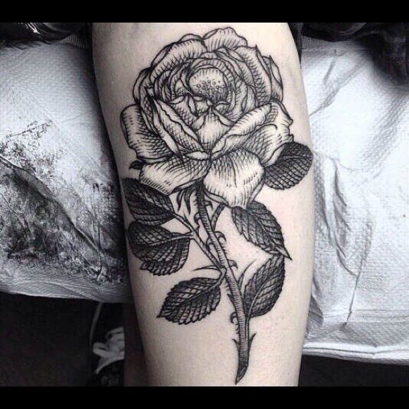 Profile Picture of Alex Parrish (@saddlebredbby) on Poshmark