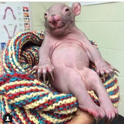 Profile Picture of Brandon Gilbert (@brandongilbert0) on Twitter