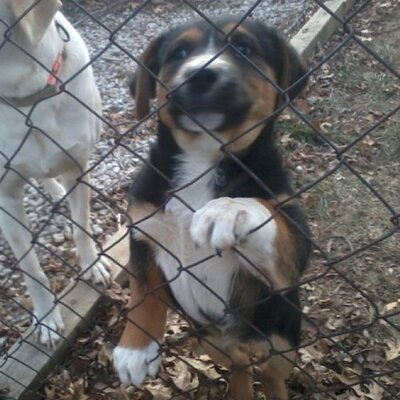 Profile Picture of Kim Sandlin (@sandlin_kim) on Twitter