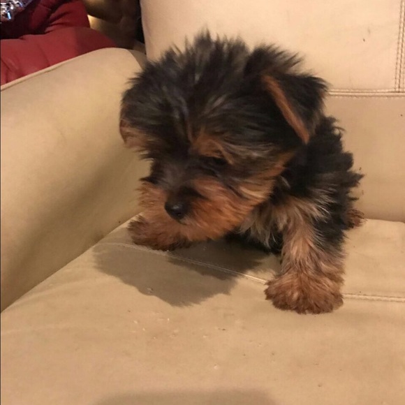 Profile Picture of Alex Vega (@alex4848) on Poshmark