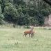 Profile Picture of Stag Hunter (@stag.hunter.1) on Facebook
