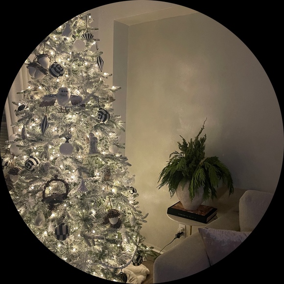 Profile Picture of Rosa Ulloa (@rosa_osoria) on Poshmark