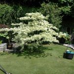 Profile Picture of Christopher Mahony (@mahonychristopher) on Instagram